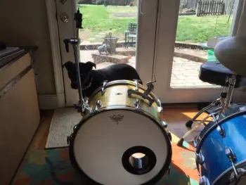 local sale, Slingerland Bass, how much should I ask