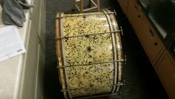 28&quot; calf skin heads