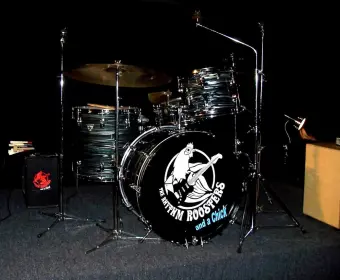 Ludwig Standards v.s. Rogers/Yamaha R-360s