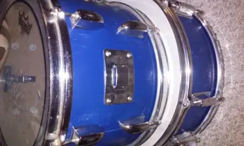 did pearl every use this mount (pic attached)