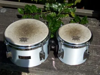 Concert toms! Sonor toms!