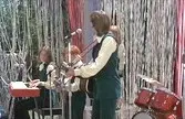 the partridge family