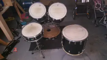 1979 Ludwig Black Cortex
