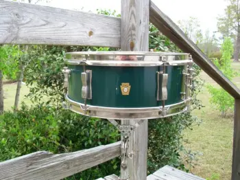 Happy St. Paddy's Day! Let's see your green.
