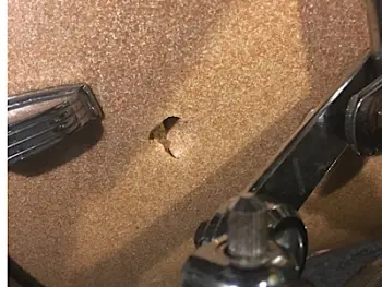 An unfortunate shipping casualty