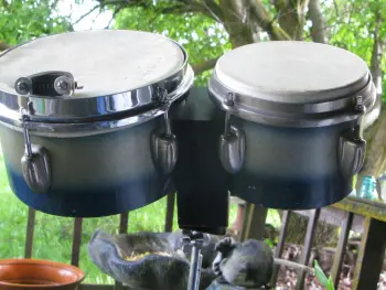 Slingerland Duco bongo's.
