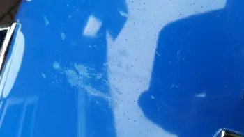 Ludwig Blue Cortex Scratch Repair?