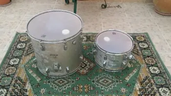 Pearl Maple Shell