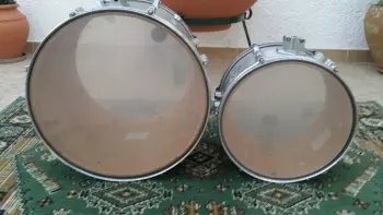 Pearl Maple Shell
