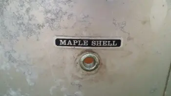 Pearl Maple Shell