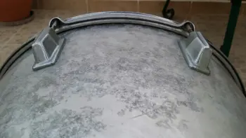 Pearl Maple Shell
