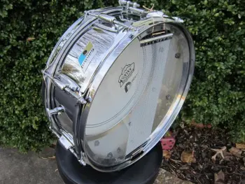 Latest Ludwig Oddity