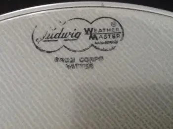 LUDWIG Drum Corps Batter head