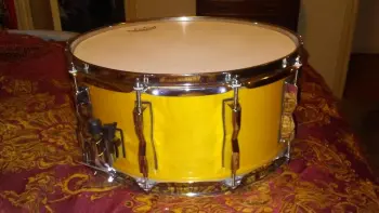 Rogers Brook Mays Snare