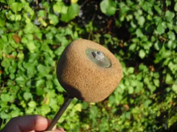 Bass drum beater identification