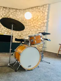 This is the Display Your Rogers Drums Thread
