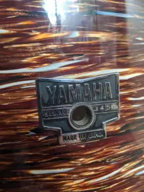 Advice needed - beautiful vintage Yamaha DT-225