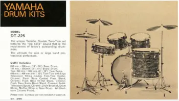 Advice needed - beautiful vintage Yamaha DT-225