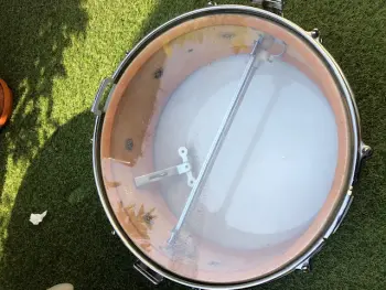Patient Premier Royal Ace birch early 60's