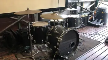 Ludwig Black Panther
