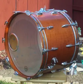 Vintage Mahogany Shells