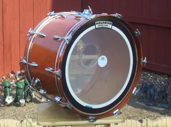 Vintage Mahogany Shells