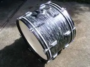 Check This Out,walburg And Ague Drums On C/l
