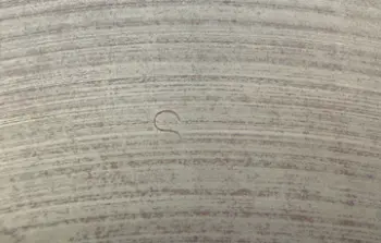 the "S" stamp history/mystery