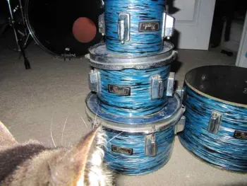 Identifying Pearl drums