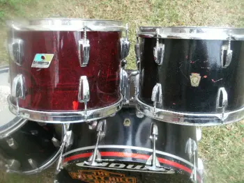 Ludwig New Yorker