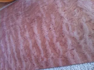 Ludwig Coliseum 14x8 Restore