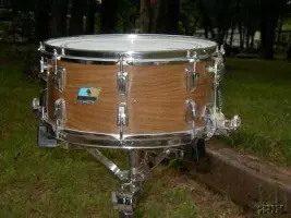 Ludwig Wood Super-sensitive