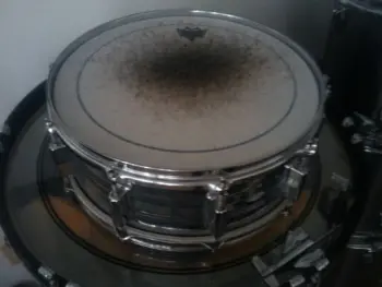 another Mystery Snare.