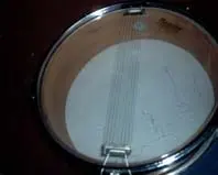 Another E-bay Snare - Non The Wiser - Little Wood Number!