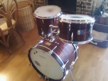 Sonor