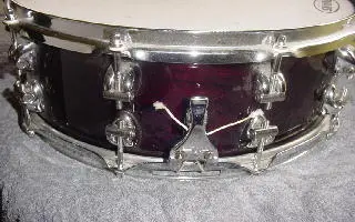 Snares for sale