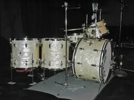 Ludwig's white marine pearl