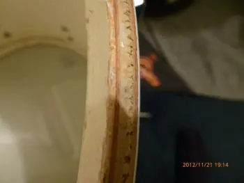 Ludwig keystone Tom. Player condition is fine