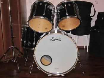 Ludwig