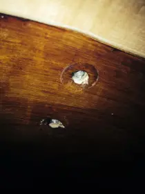 Shifting Slingerland lugs