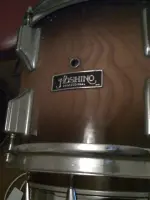 Hoshino