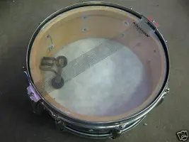 Slingerland questions