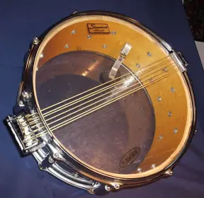 Slingy Snare ID help??