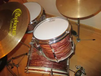 Unusual Oyster Tromsa Set