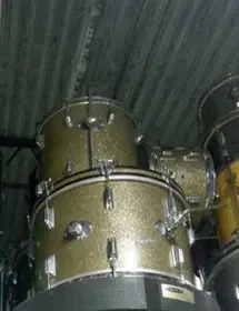 Drum motherload in florida
