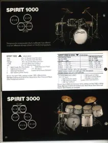 Can anyone identify my drums?