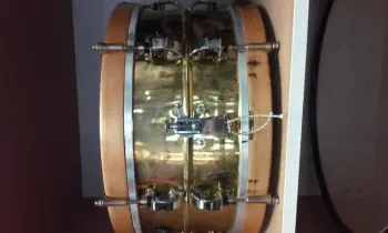 Mystery Snare