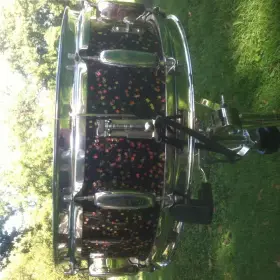 Rogers Mardi Gras B&amp;B Snare