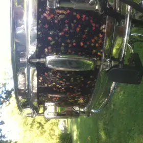 Rogers Mardi Gras B&amp;B Snare