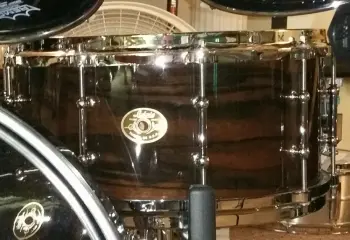 14x6.5 Ludwig Classic Maple Exotic Ebony Macassar